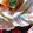 Предпросмотр схемы вышивки «Маки» (№1538442)
