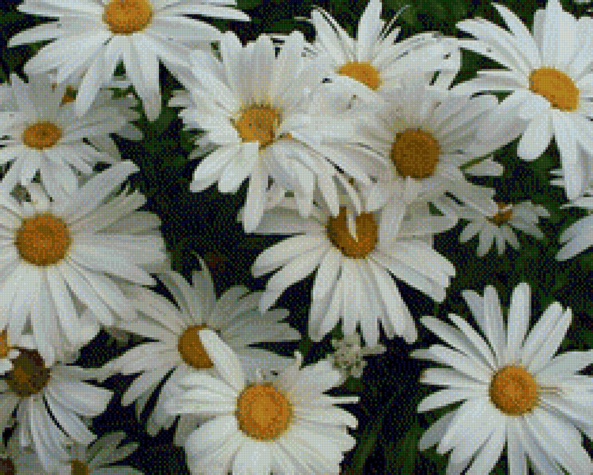 Подушка ромашки - подушка, цветы, ромашки - предпросмотр