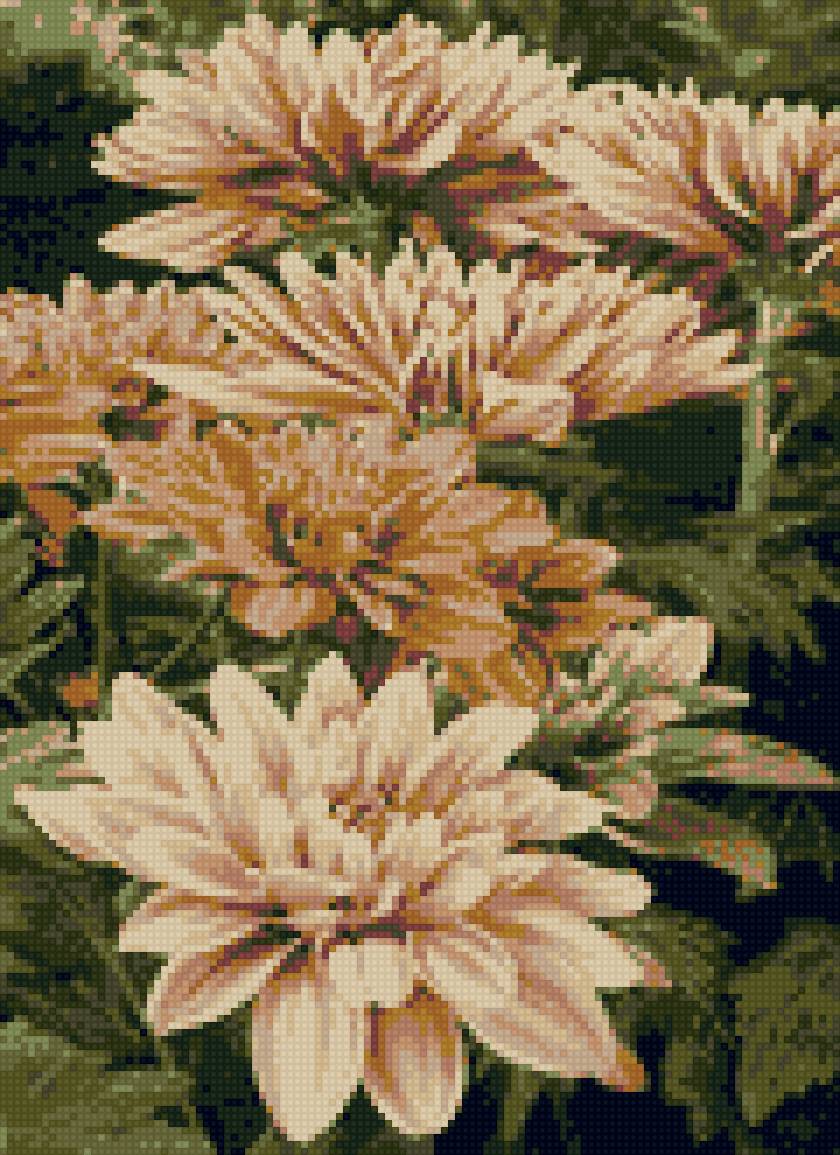 Цветы - хризантемы, букет - предпросмотр