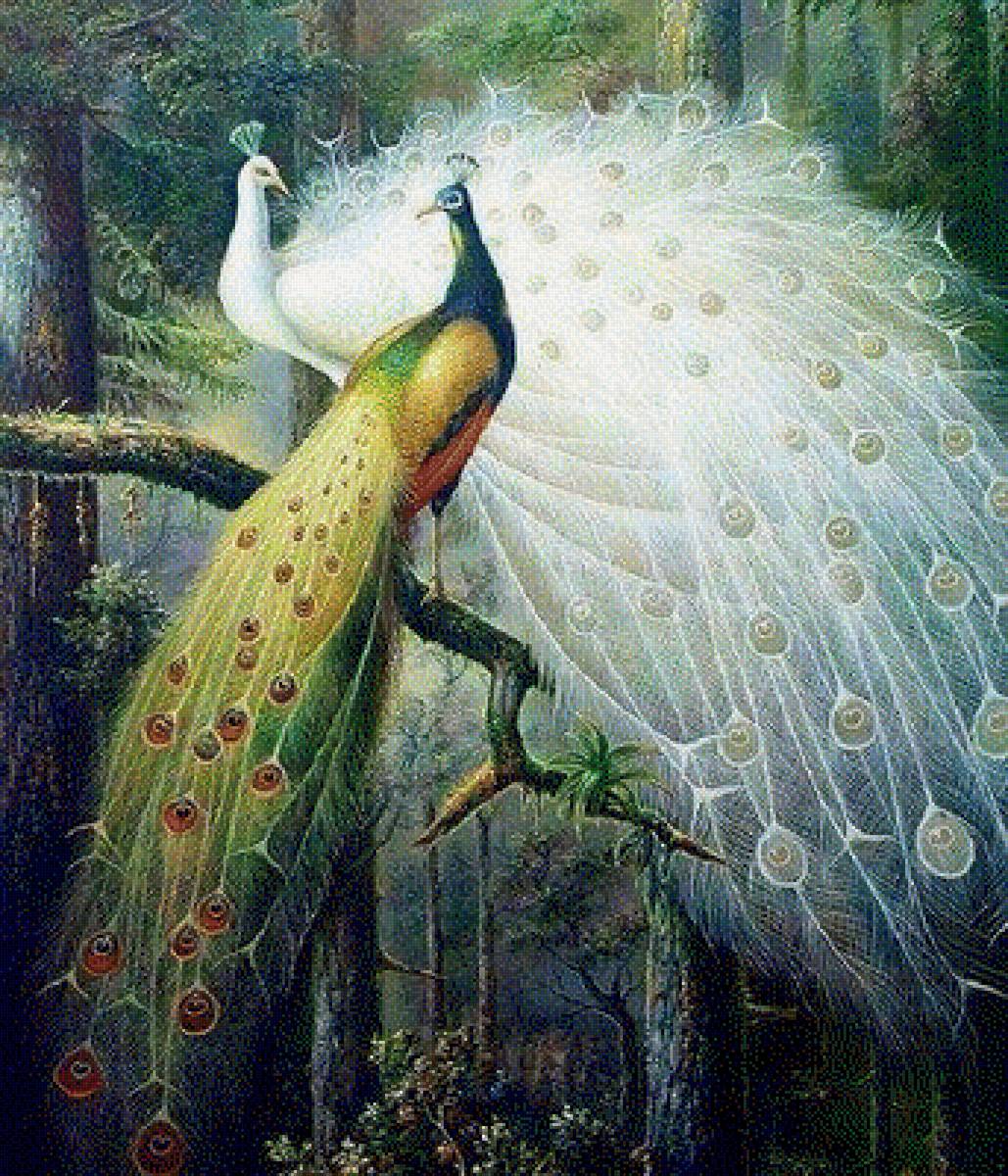 Ptici - предпросмотр