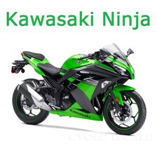 Оригинал схемы вышивки «Kawasaki Ninja» (№1538721)