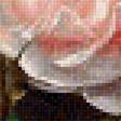 Предпросмотр схемы вышивки «розы» (№1538812)