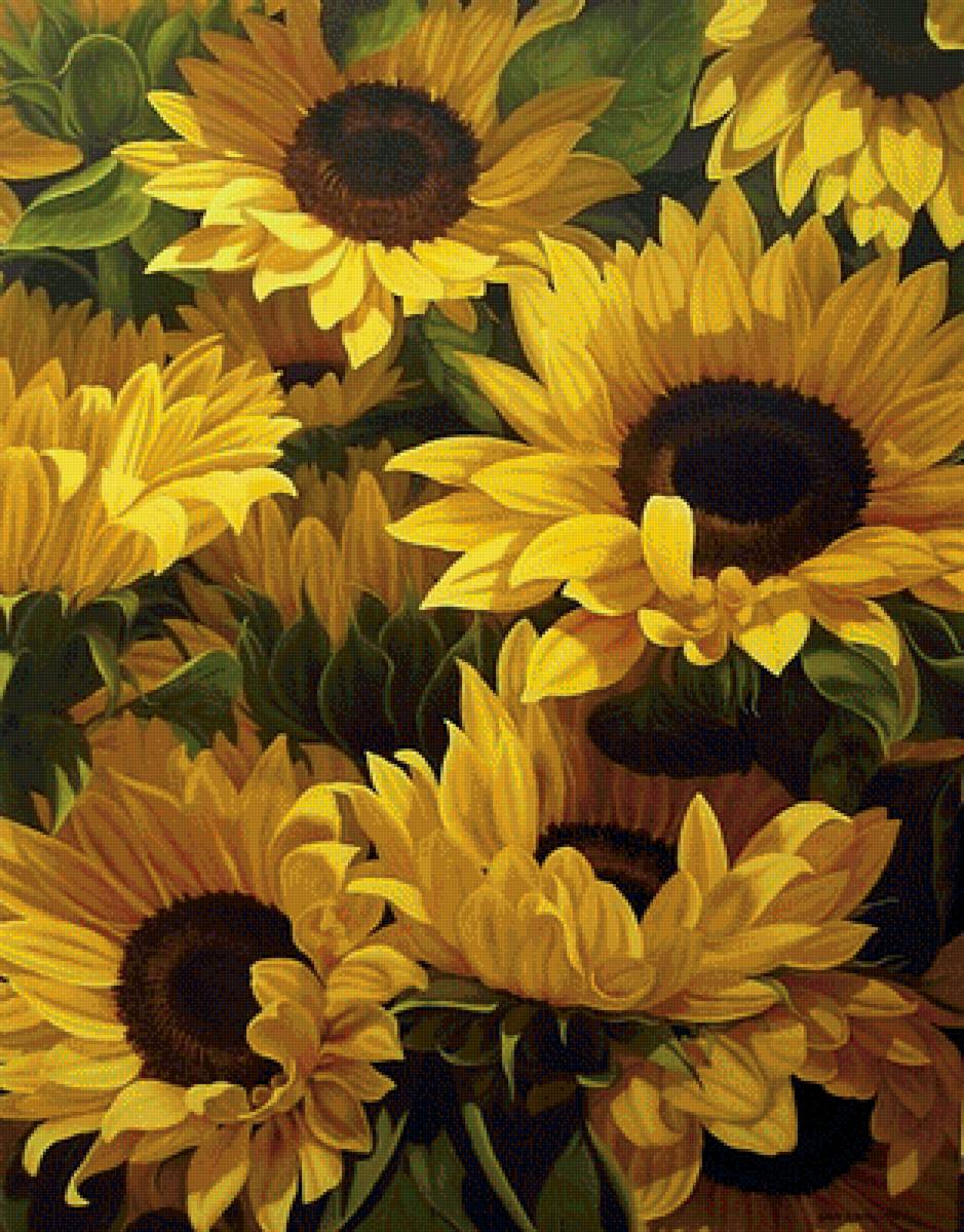 подсолнухи - предпросмотр