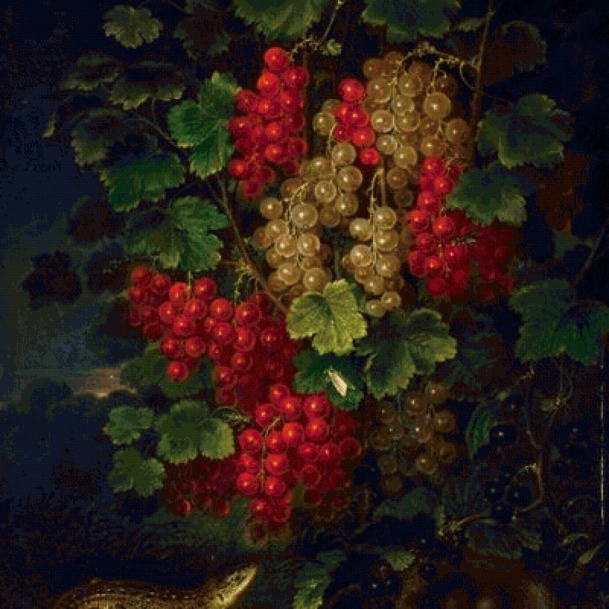 Смородина - предпросмотр