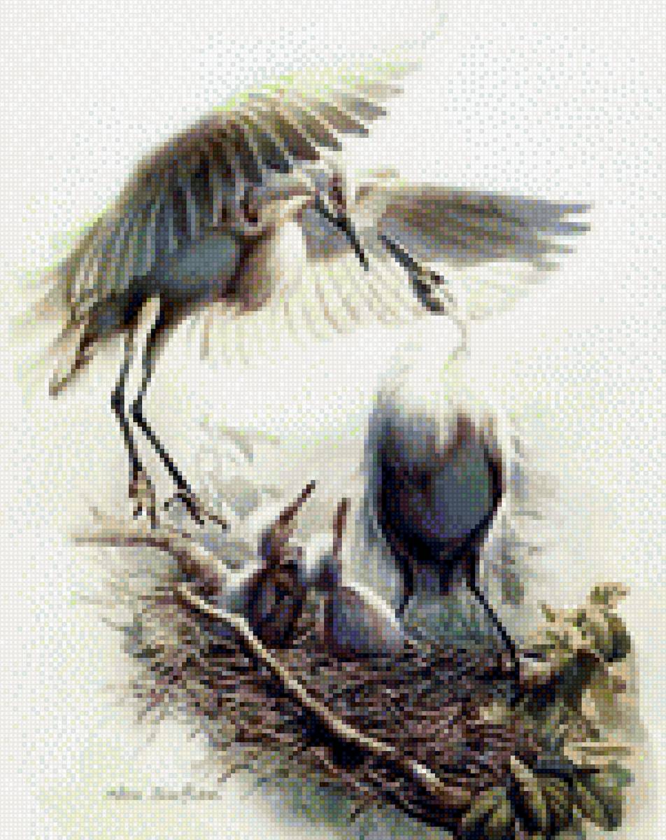 аисты2 - предпросмотр