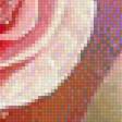Предпросмотр схемы вышивки «Розы» (№1540891)
