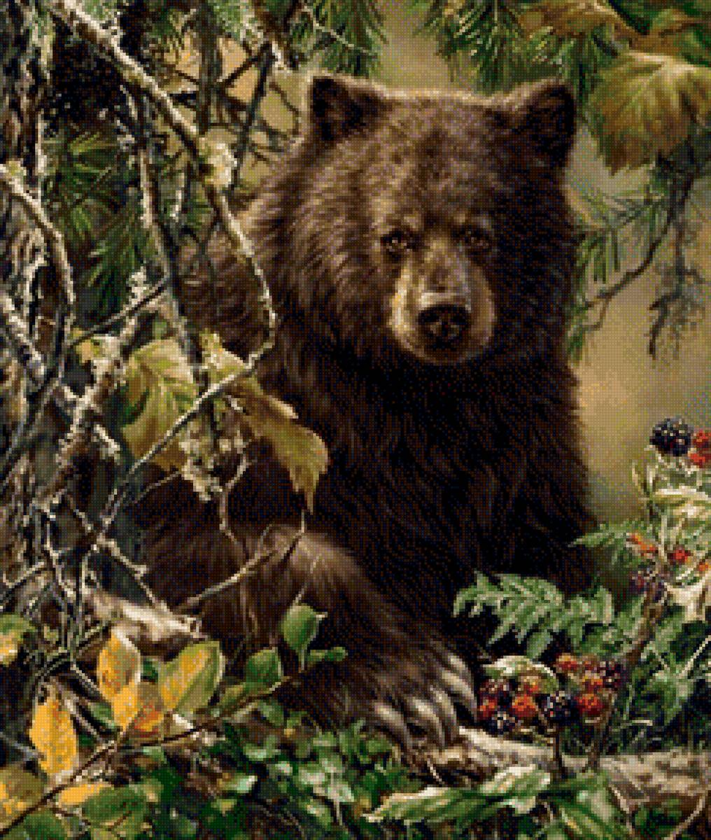 Медведь в лесу - животные, медведь, природа - предпросмотр