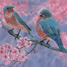 Схема вышивки «Пара птичек на розовом»