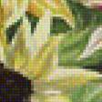 Предпросмотр схемы вышивки «Подсолнухи» (№1542019)