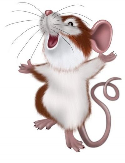 радостная крыса - животные - оригинал