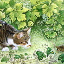 Схема вышивки «кот»