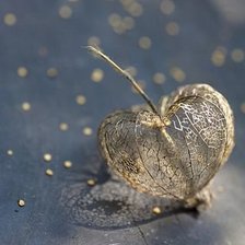 Схема вышивки «ФИЗАЛИС»