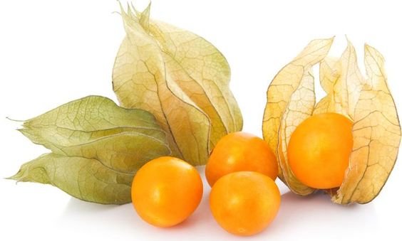 ФИЗАЛИС - физалис - оригинал