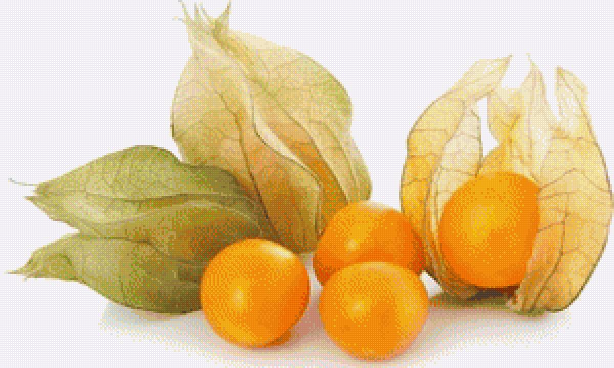 ФИЗАЛИС - физалис - предпросмотр