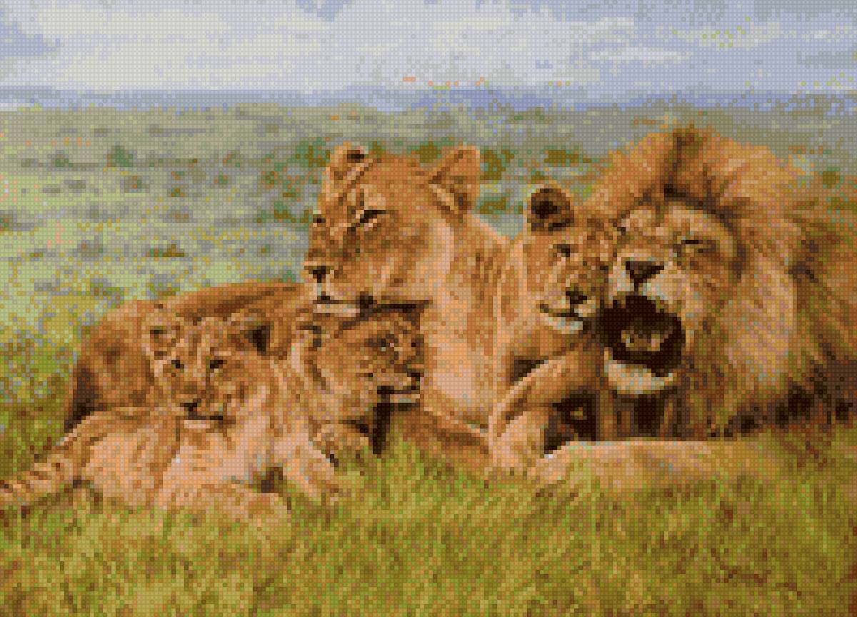 Семейство львов - предпросмотр