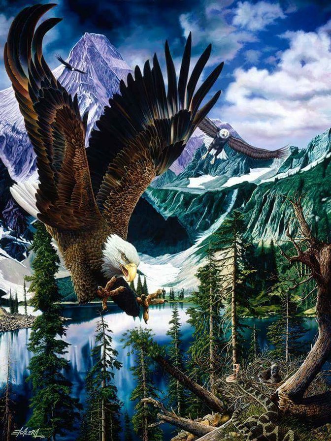 OREL - fauna priroda ptici - оригинал