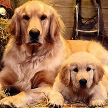 Схема вышивки «№1543374»