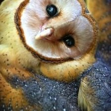 Схема вышивки «№1543410»