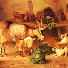 Схема вышивки «№1543431»