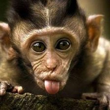 Схема вышивки «№1543484»