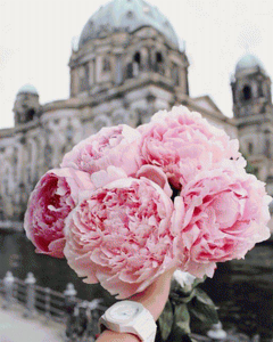 Букет пионов - пионы, цветы, букет - предпросмотр