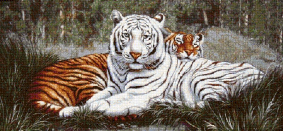 №1543865 - предпросмотр