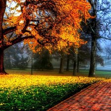 Схема вышивки «№1543871»