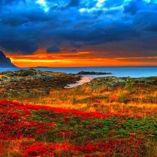 Схема вышивки «№1543925»