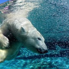 Схема вышивки «№1543951»