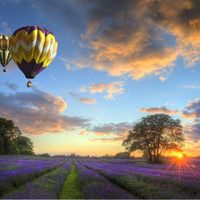 Схема вышивки «№1543953»