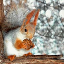 Схема вышивки «№1544027»