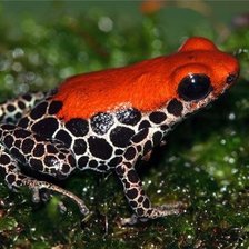 Схема вышивки «№1544035»