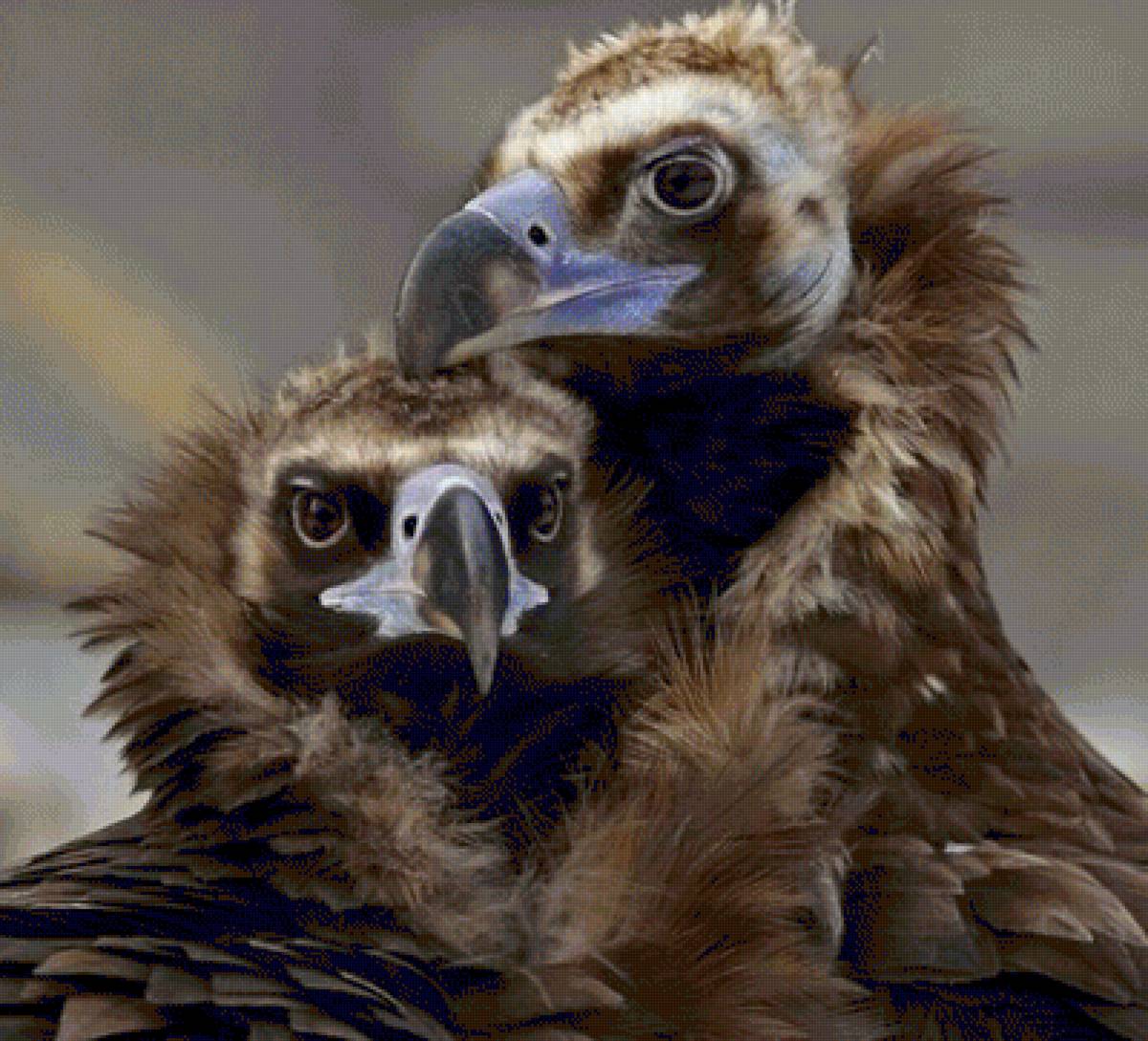 №1544054 - предпросмотр