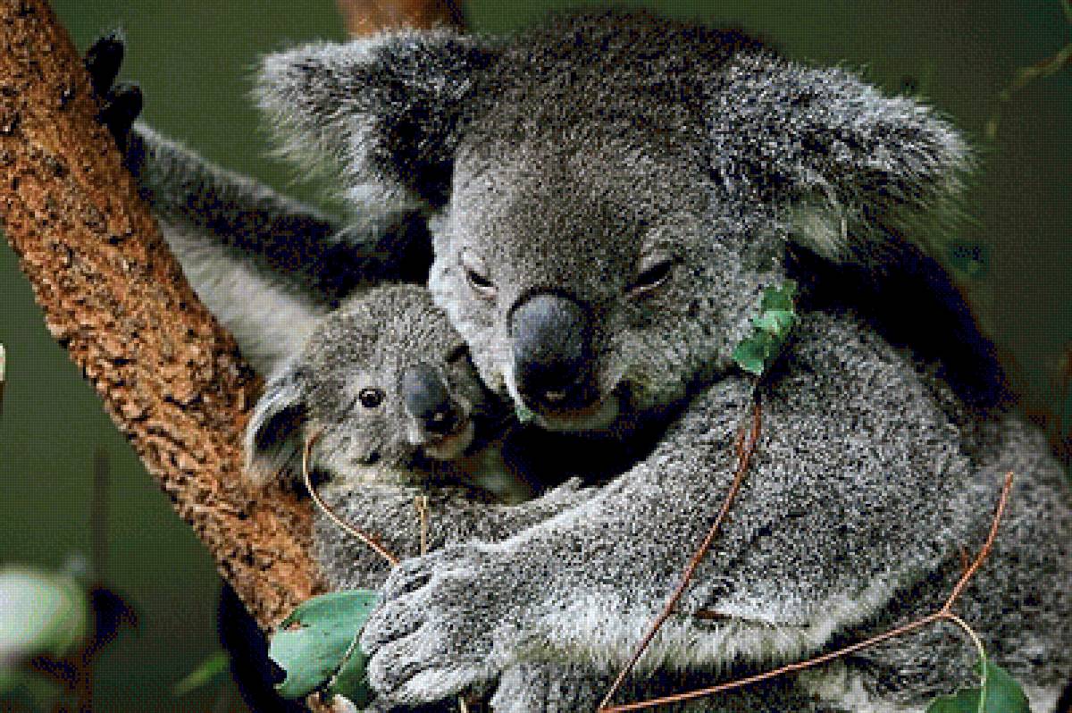 №1544055 - предпросмотр