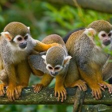 Схема вышивки «№1544057»