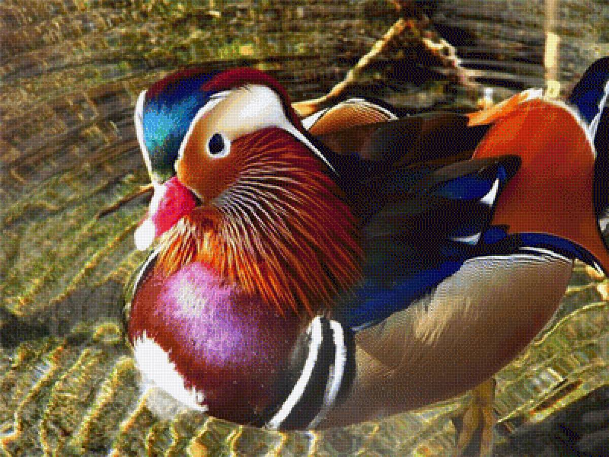 №1544058 - предпросмотр