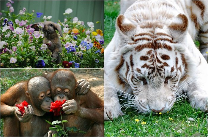 №1544065 - оригинал