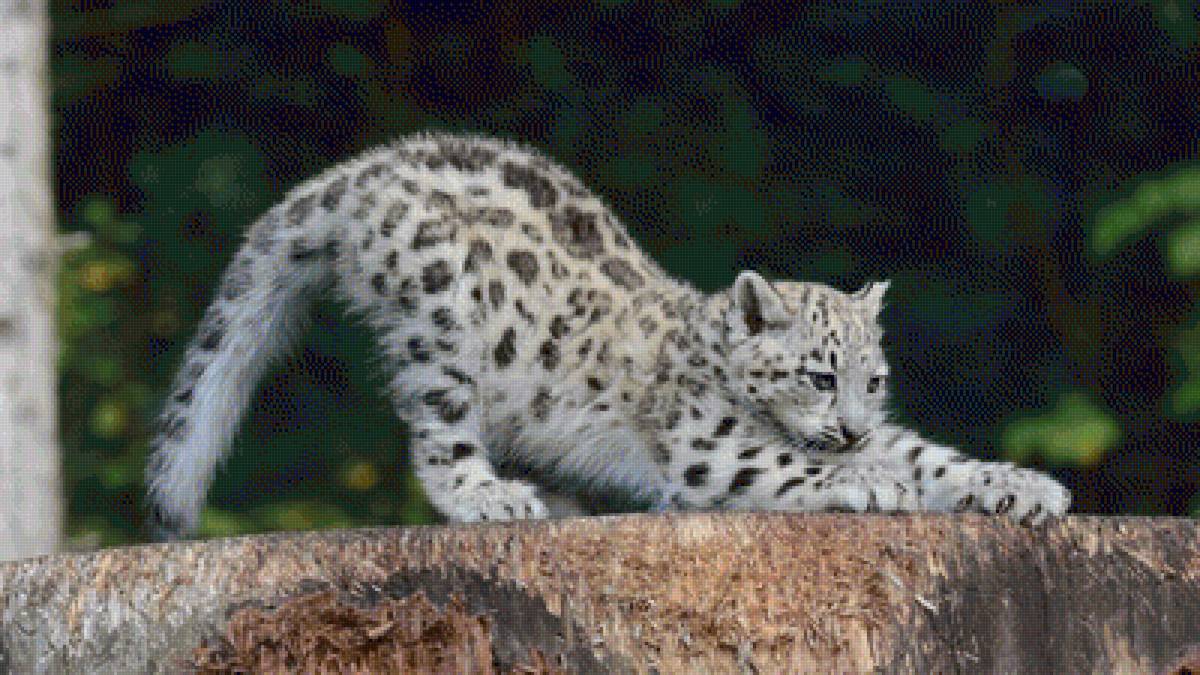 №1544069 - предпросмотр