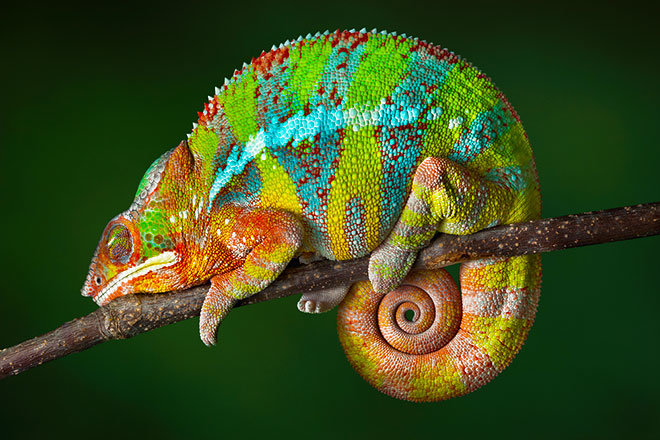 №1544070 - оригинал