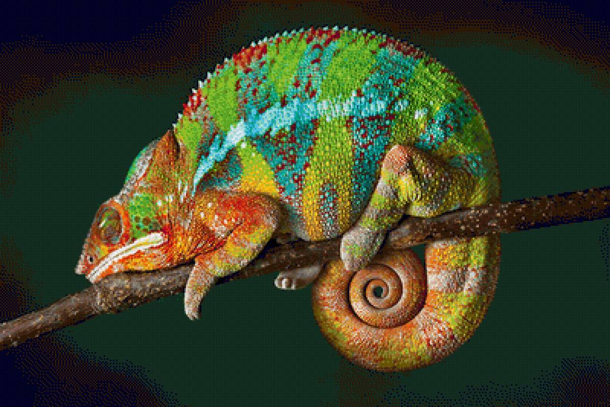 №1544070 - предпросмотр