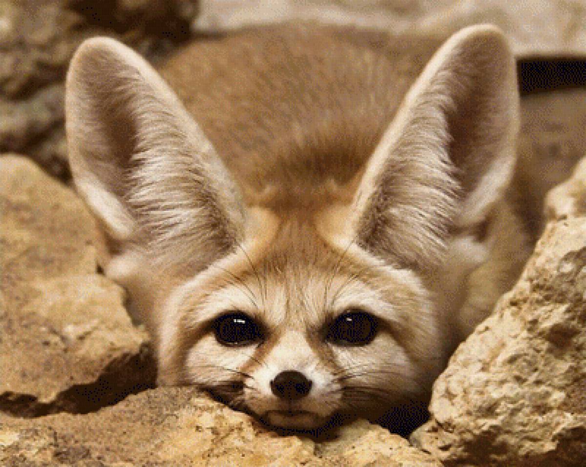 №1544081 - предпросмотр