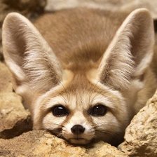 Схема вышивки «№1544081»