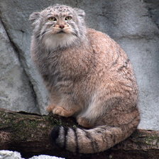 Схема вышивки «№1544087»