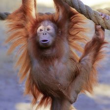 Схема вышивки «№1544089»