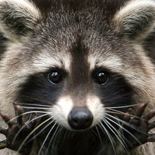 Схема вышивки «№1544095»