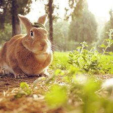 Схема вышивки «№1544098»