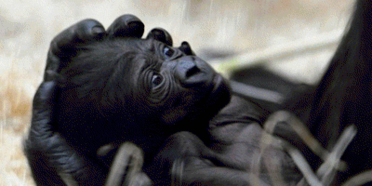 №1544100 - предпросмотр