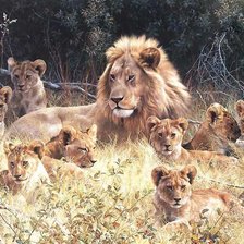 Схема вышивки «№1544173»