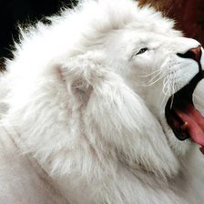 Схема вышивки «№1544175»