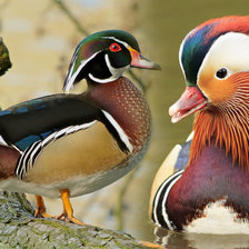 Схема вышивки «№1544192»